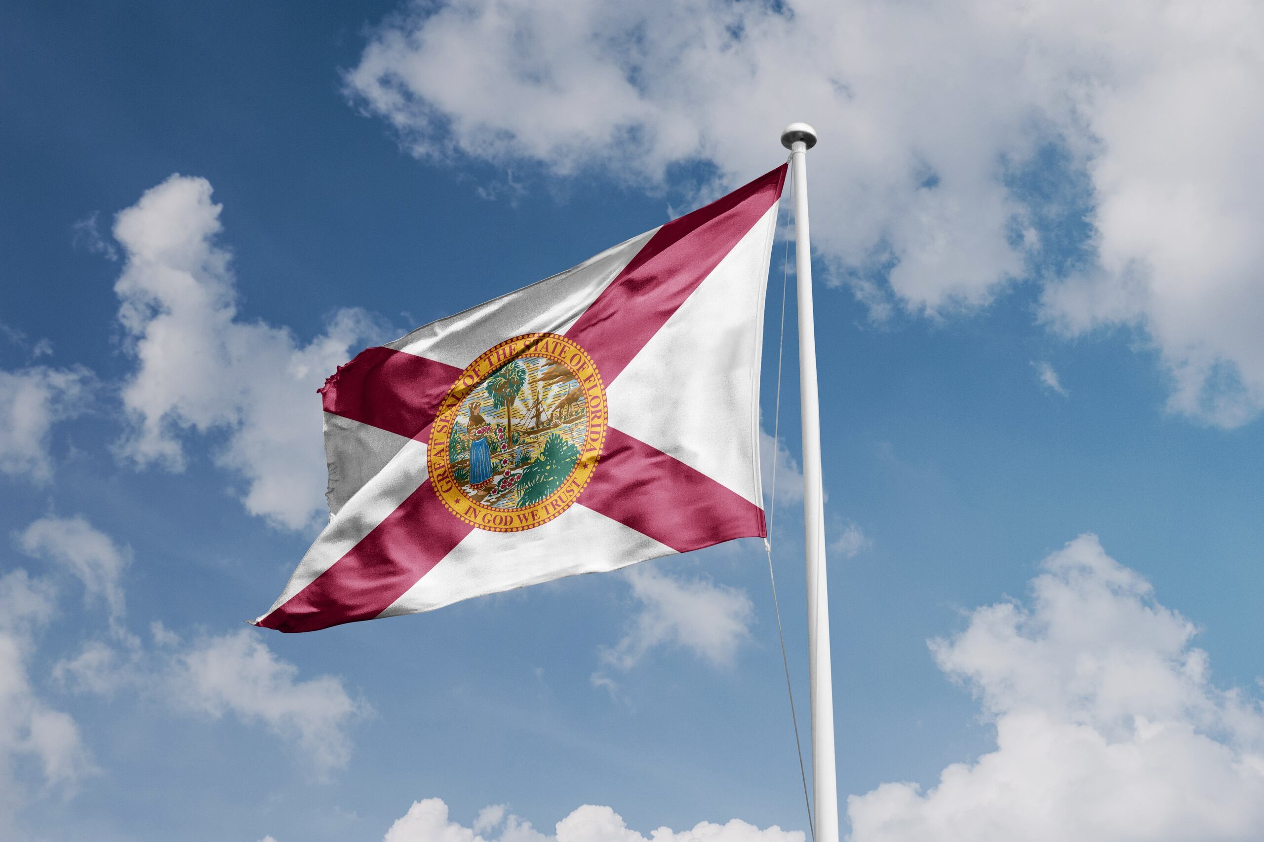 State flag representing legal probate rules for can you remove an executor in Florida.